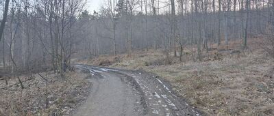 Skrzyżowanie szlaków ↔ Źródło Joanny