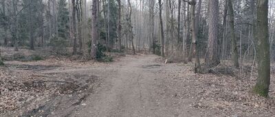 Rozdroże pod Stolną