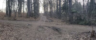 Rozdroże pod Stolną