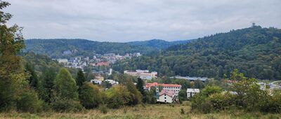 Skrzyżowanie szlaków niebieski / żółty ↔ Krynica Zdrój