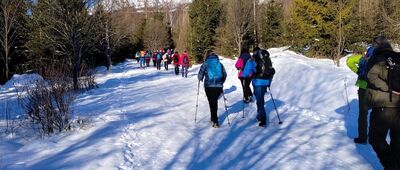 Tatranská Polianka ↔ Velický most
