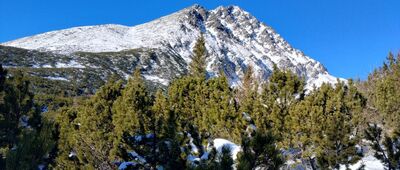 Velický most ↔ Velická poľana