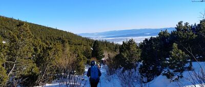 Velická poľana ↔ Sliezsky dom