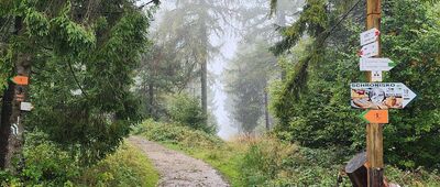 Pod Jaworzyną Krynicką, odejście do schroniska