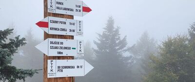 Pod Jaworzyną Krynicką, odejście do schroniska ↔ Jaworzyna Krynicka