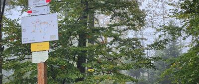 Runek ↔ Czubakowska