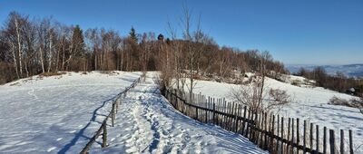 Koziarz ↔ Jaworzynka [Końcówka podejścia na wieżę widokową na Koziarzu]