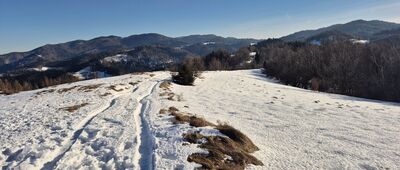 Jaworzynka ↔ Dzwonkówka [Beskid Sądecki z żółtego szlaku w stronę Dzwonkówki]