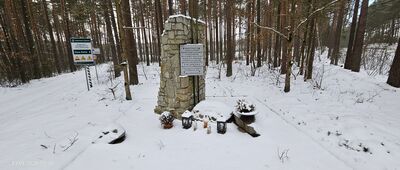 Błędno, szosa ↔ Błędno, parking