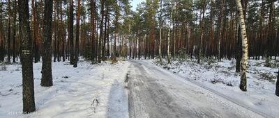 Wielkie Gacno ↔ Jezioro Okonińskie