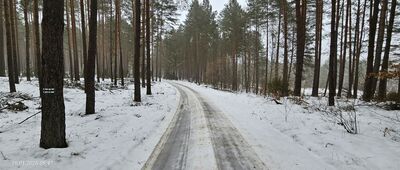 Łosiny ↔ Twarożnica