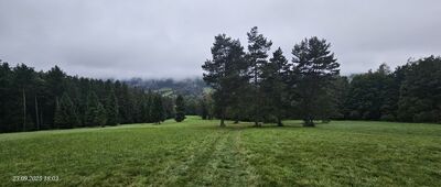 Orlik, odejście na szczyt ↔ Jasień