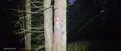 Ustrzyki Dolne, ul. Dworcowa ↔ Orlik, odejście na szczyt