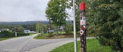 Ustjanowa Górna ↔ Skrzyżowanie pod Holicą