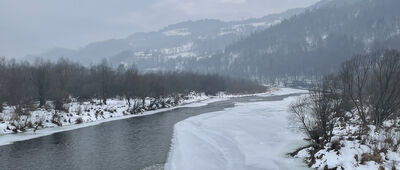 Rytro, most ↔ Sucha Struga