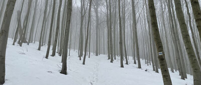 Makowica ↔ Zadnie Góry