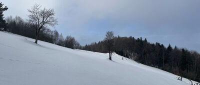 Podmakowica ↔ Makowica