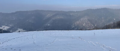 Podmakowica ↔ Życzanów