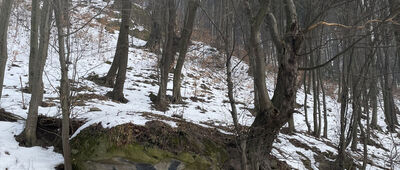 Rytro, Zazamcze ↔ Życzanów