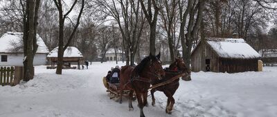 Lublin, skansen, kasa ↔ Lublin, skansen, staw [Kulig w cenie wejściówki]