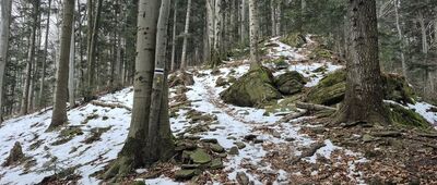 Szczebel ↔ Kasinka Mała [Podejście czarnym szlakiem na Szczebel, od strony Mszany Dolnej]