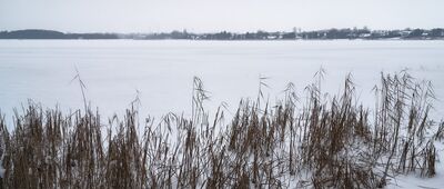Lublin, Aleja Kazimierza Bryńskiego ↔ Dąbrowa-Las [W oddali wieże zemborzyckiego kościoła]