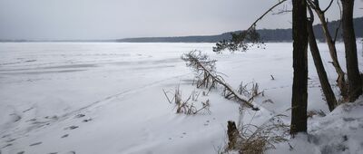 Dąbrowa-Las ↔ Prawiedniki, ul. Osmolicka