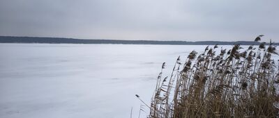 Zemborzyce, most na Bystrzycy ↔ Zemborzyce Podleśne