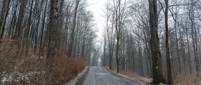 Dzięgielów, ul. Zamkowa