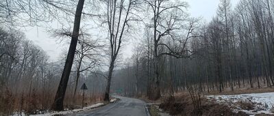 Dzięgielów, ul. Zamkowa