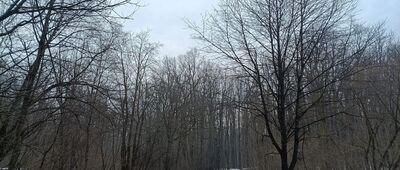 Dzięgielów, ul. Zamkowa ↔ Rozejście szlaków