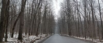 Rozejście szlaków