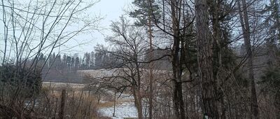 Dawne schronisko PTTK Pod Tułem