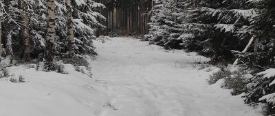 Rozdroże pod Świerkowcem ↔ Pod Kozią Szyją