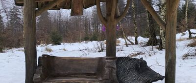 Ustroń, kolej linowa Czantoria ↔ Czantoria Wielka