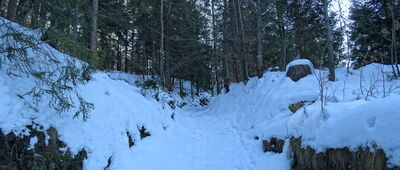 Wisła, Mrozków ↔ Wisła, ul. Dworcowa