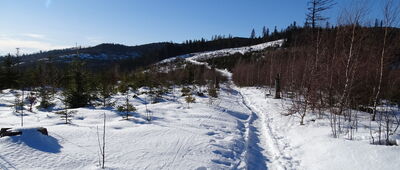 Przełęcz Łączecko ↔ Wisła, Mrozków