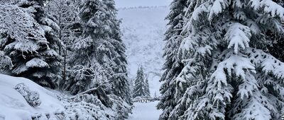 Schronisko PTTK Samotnia ↔ Schronisko PTTK Strzecha Akademicka