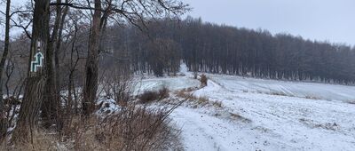 Krzyżowa, przy stacji kolejowej ↔ Popiel