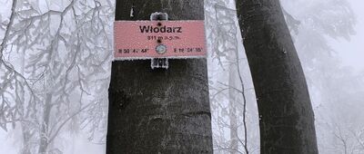 Włodarz