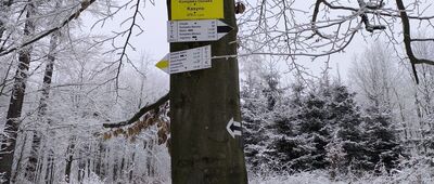 Kompleks Osówka, kasyno