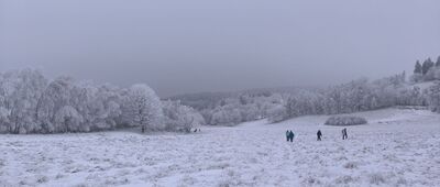 Rozejście szlaków ↔ Rozdroże pod Sokołem