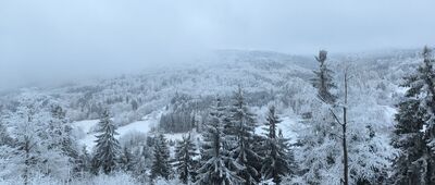 Rozdroże pod Sokołem ↔ Rzeczka, Korona