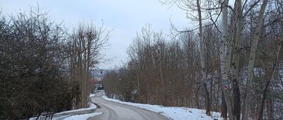 Zabierzów, ul. Podleśna