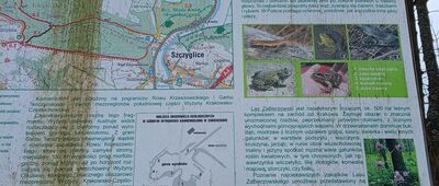 Zabierzów, ul. Podleśna