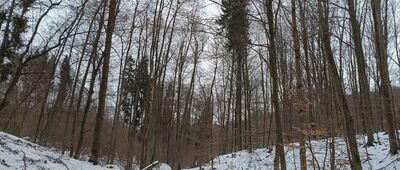 Źródło w Dolinie Grzybowskiej ↔ Radar "Zapałka"