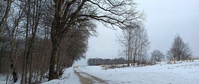 Grzybów, rozejście szlaków