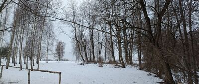 Grzybów, rozejście szlaków