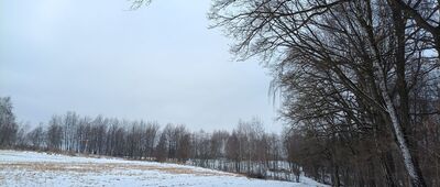 Grzybów, rozejście szlaków ↔ Aleja Jurajska