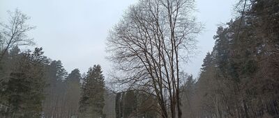 Dolina Grzybowska, parking